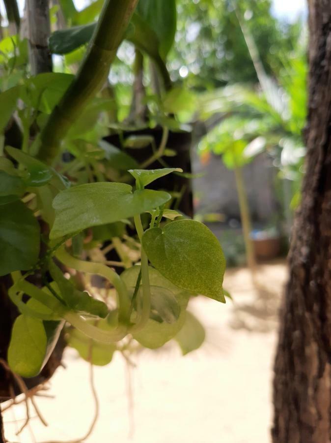 Apartamento Connect Phan Thiet Exterior foto